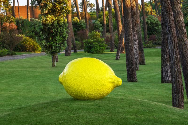 outdoor citron sculpture