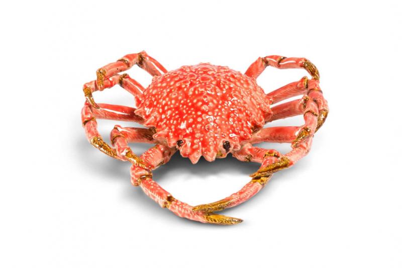 spider crab rose