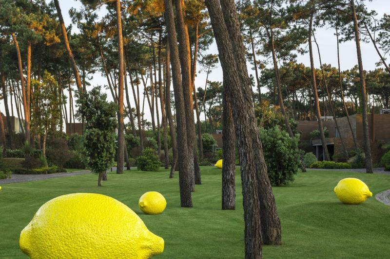 huge lemon sculptures